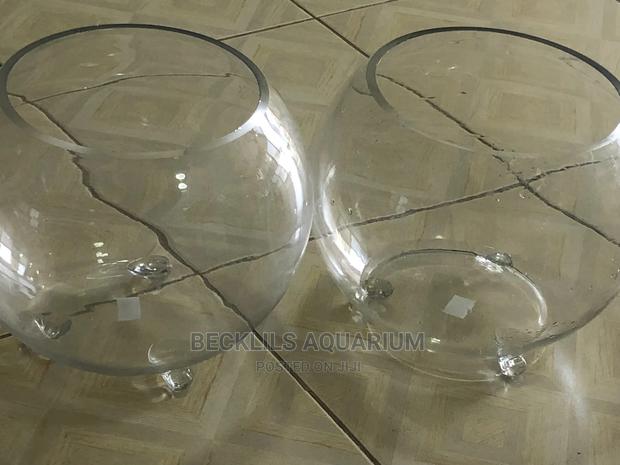 Bigger Glass Fish Bowl · Photo 4