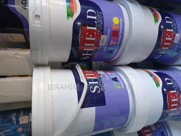 Shield Paint Fungus 20L