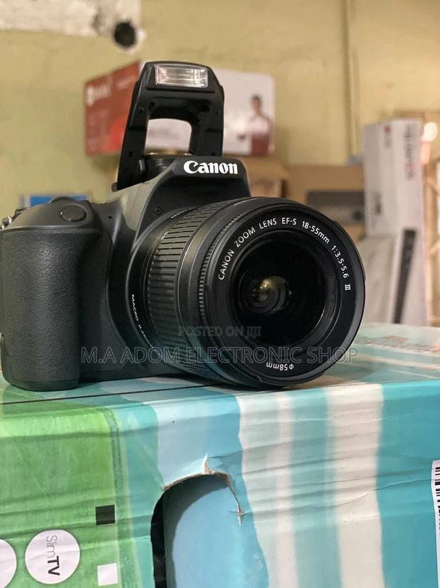 Snap All Your Pics in Portrait Mode With Canon Eos 250D · Photo 2
