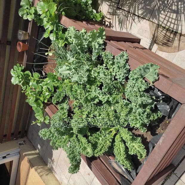 Home Garden Setup photo 2
