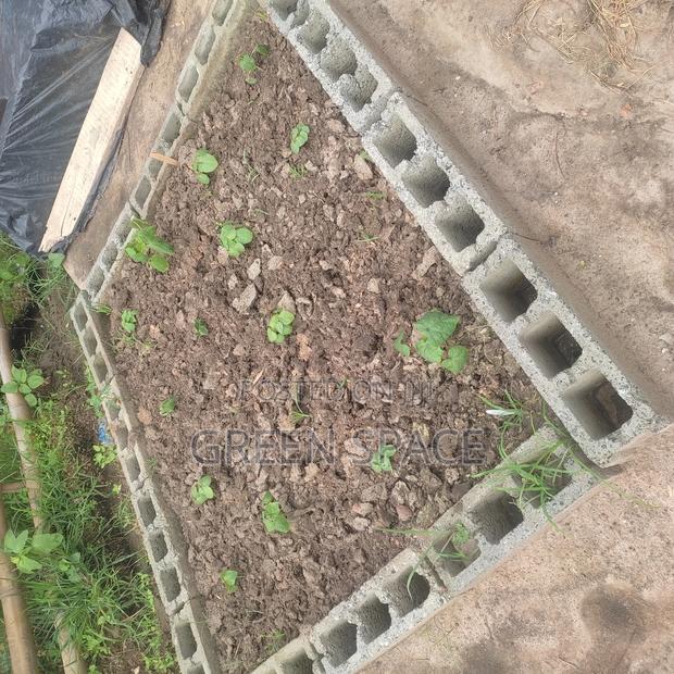 Home Garden Setup photo 3