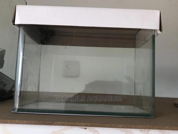 Glass Aquarium