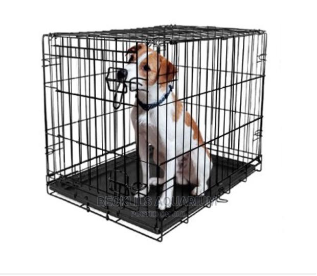 Metallic Cages and More · Photo 4