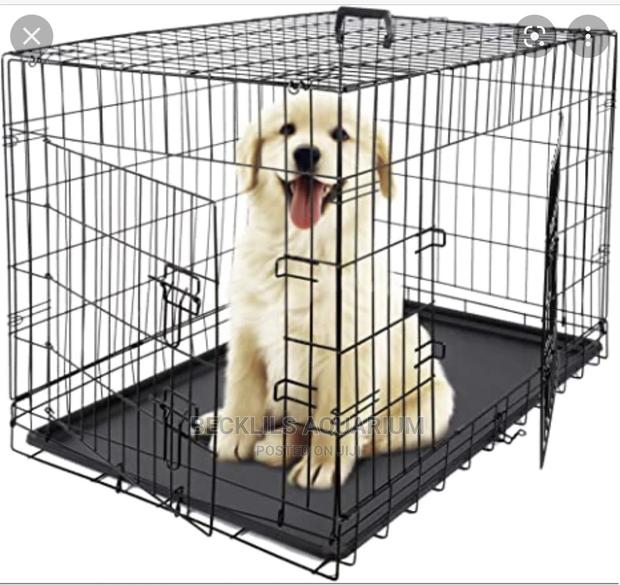 Metallic Cages and More · Photo 3