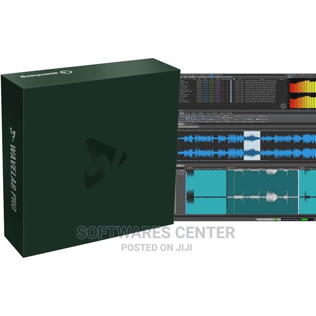 Steinberg Wavelab 12 Pro For Windows (X64) · Photo 2
