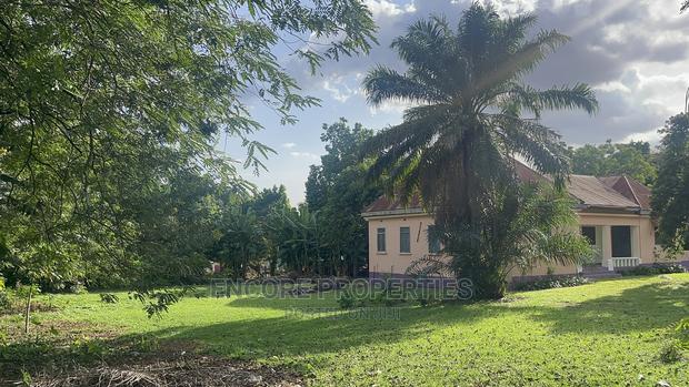 2 and Half Acres of Land Now Selling at Kumasi · Photo 4