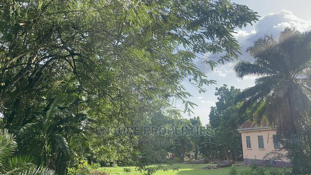 2 and Half Acres of Land Now Selling at Kumasi · Photo 3
