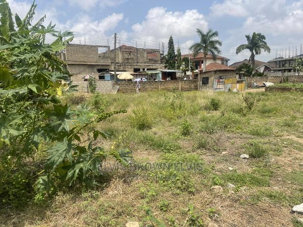Two Plots of Land for Sale at TRASACCO Area · Photo 4