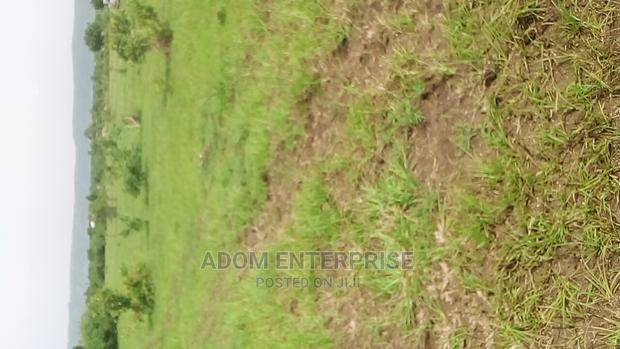 Genuine Lands at Shai-Hills photo 2