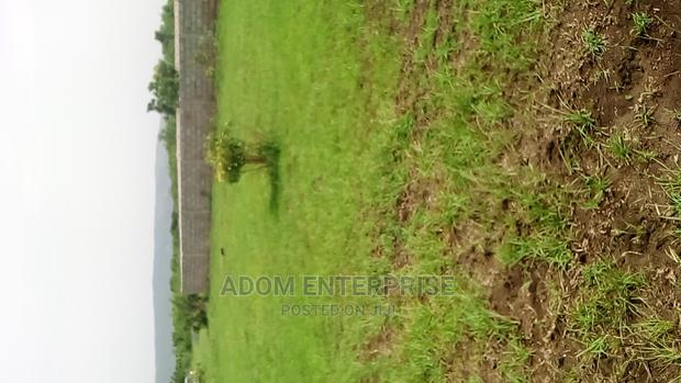 Genuine Lands at Shai-Hills photo 3
