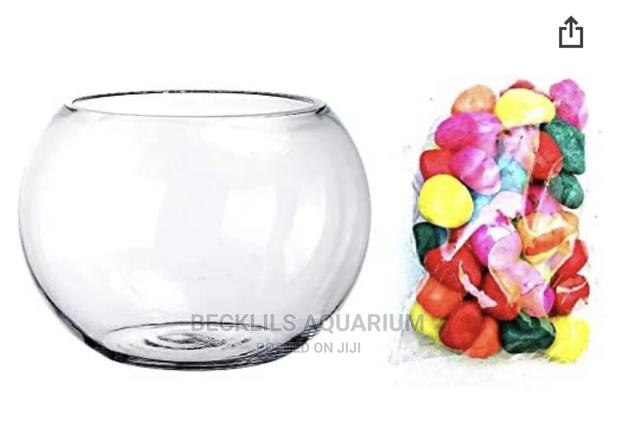Aquarium Glass Bowl · Photo 2