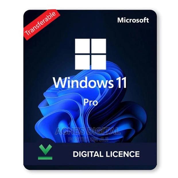 Windows 11 Professional Transferable Digital License(1PC) · Photo 2