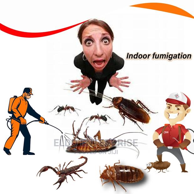 Pest Control Service · Photo 2