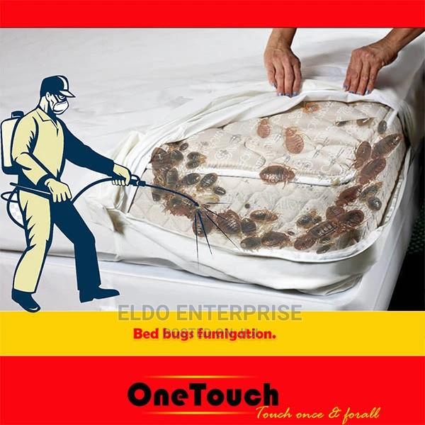 Bed Bugs Fumigation Services · Photo 2