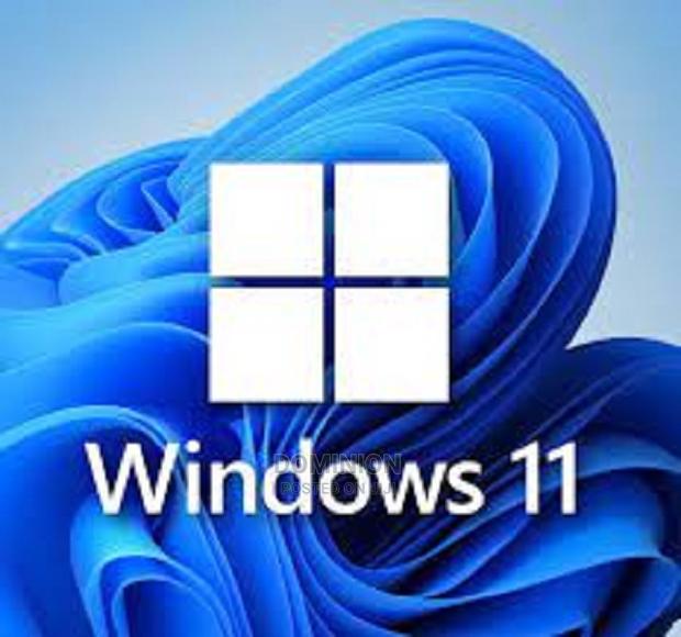 Windows 11 Professional Lincence Key · Photo 2