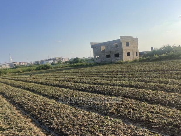 TWO Plots of Land for Sale at West Trasacco · Photo 3