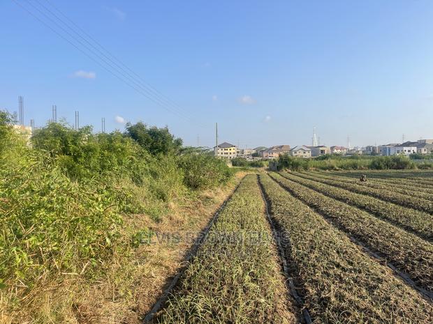 TWO Plots of Land for Sale at West Trasacco · Photo 4