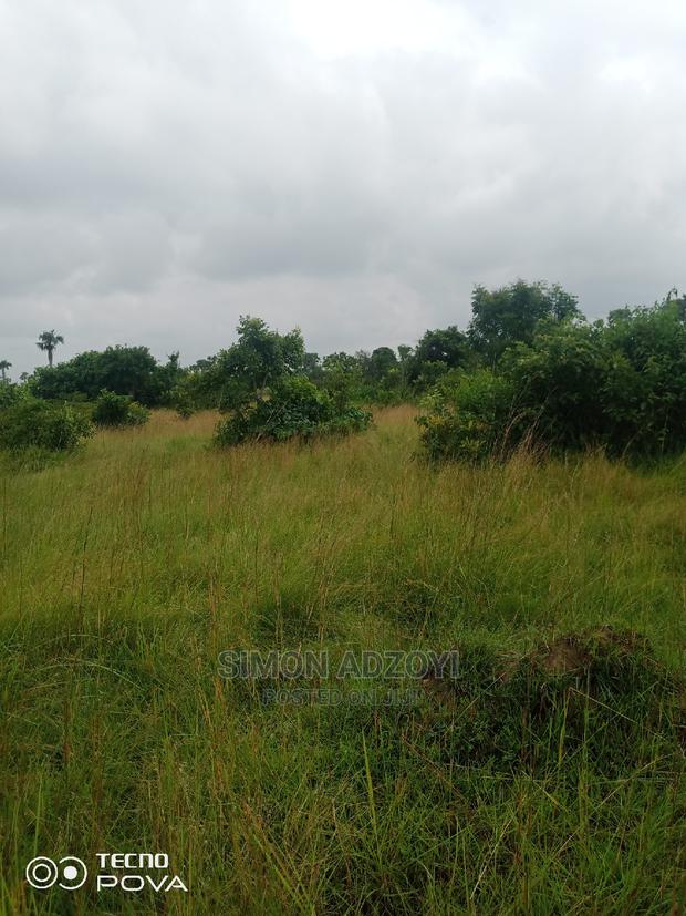 5000 Acres of Farm Land for Sale or Long Lease