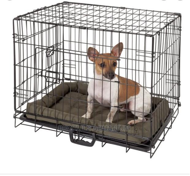 Dog Cages(Indoor) · Photo 2