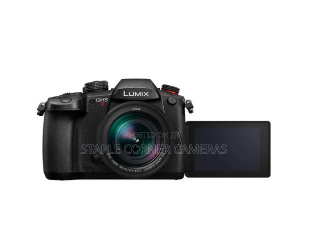 Panasonic Lumix GH5 II Mirrorless Camera With 12-60mm Lens photo 4
