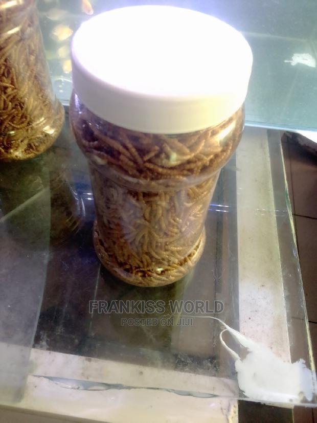 Worms Feed · Photo 4