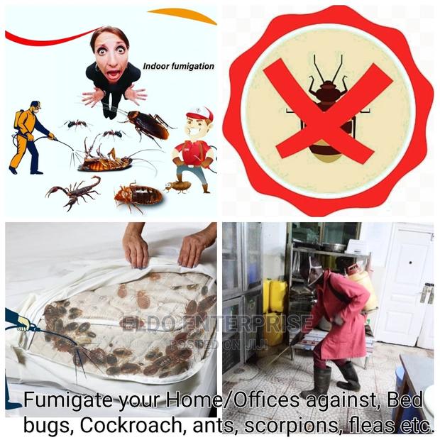 Homes and Offices Fumigation · Photo 2