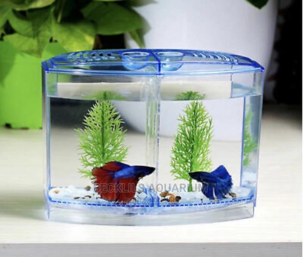 Mini Aquariums for Betta Fish