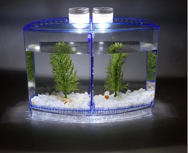 Mini Aquariums for Betta Fish