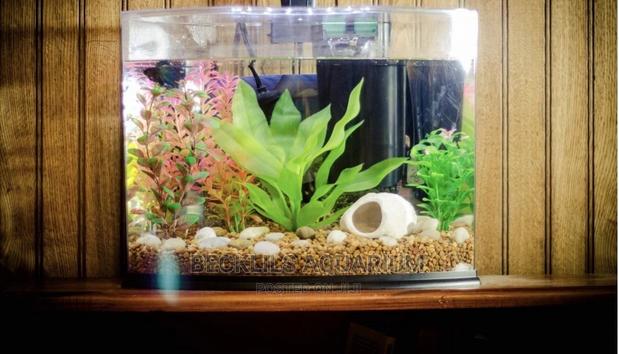 Table Top Aquarium