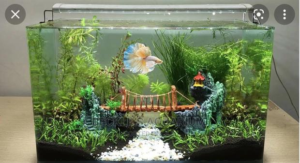 Table Top Aquarium
