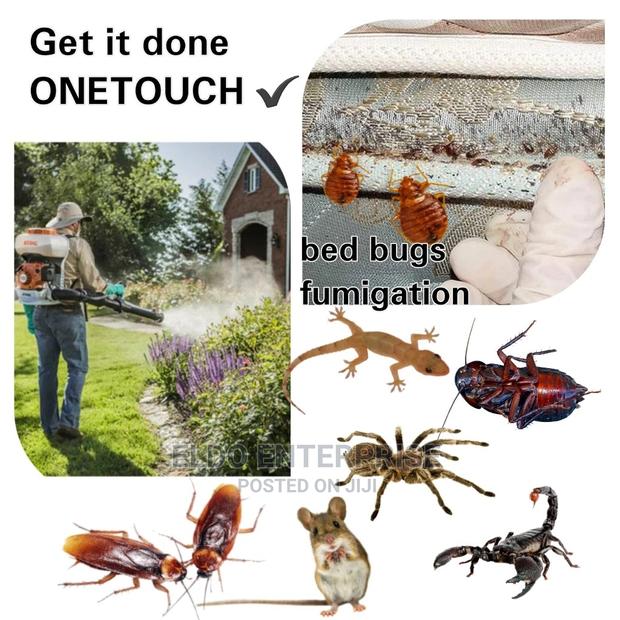 Environmental Pest Control · Photo 2