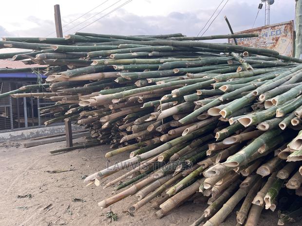 Bamboo ( Fresh )