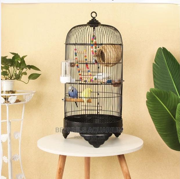 Metallic Parrot Birdcage · Photo 4