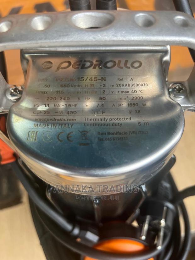 Pedrollo Sewage Pump · Photo 4