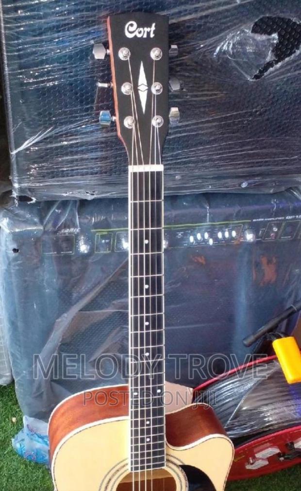 Cort Semi-Acoustic Guitar · Photo 4