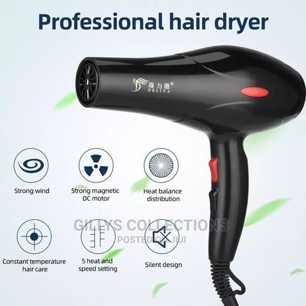 Professional Hair Dryer photo 2