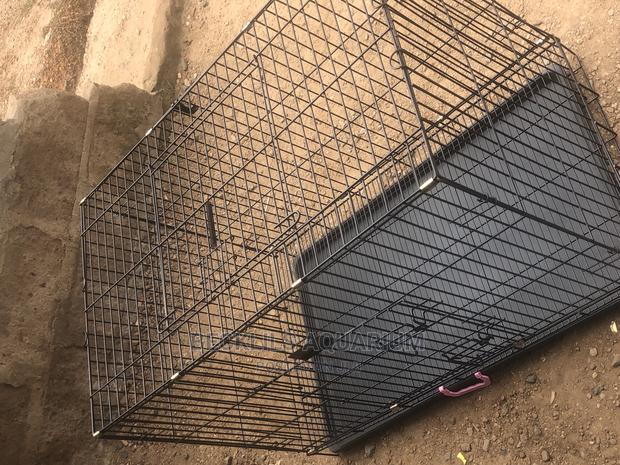 36 “Bigger Dog Cages · Photo 4