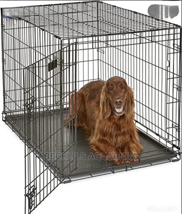 36 Inches Metallic Dog Cages · Photo 3