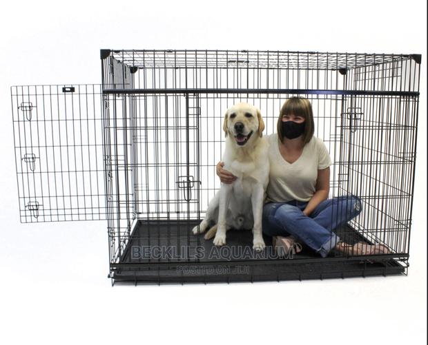 Quality 36 Inches Dog Cages N More · Photo 4