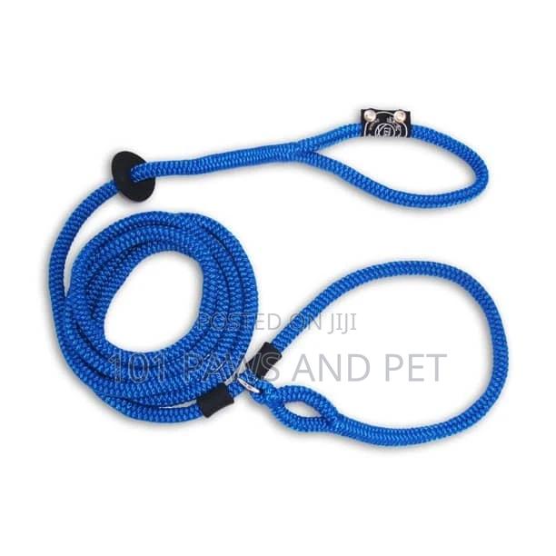 Harness Lead Leash And Collar All In One. 3 In 1. · Photo 2