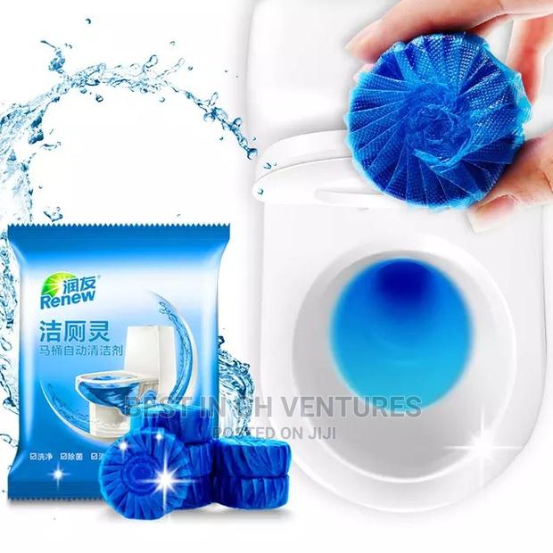 Water Closet Flush Cleaner · Photo 4