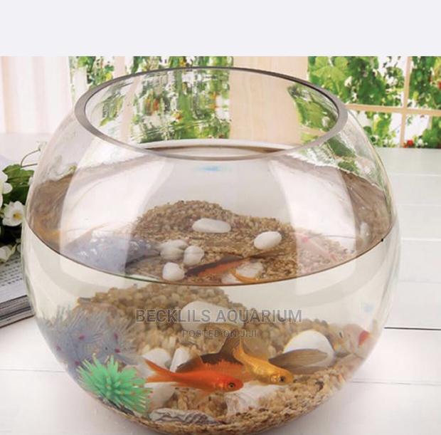 Package Glass Fish Bowl · Photo 3