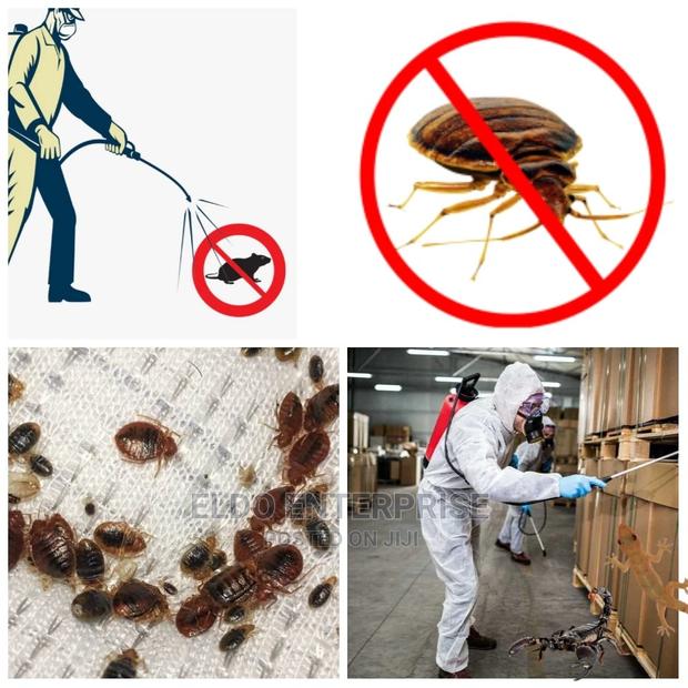 Outdoor and Indoor Pest Control · Photo 2