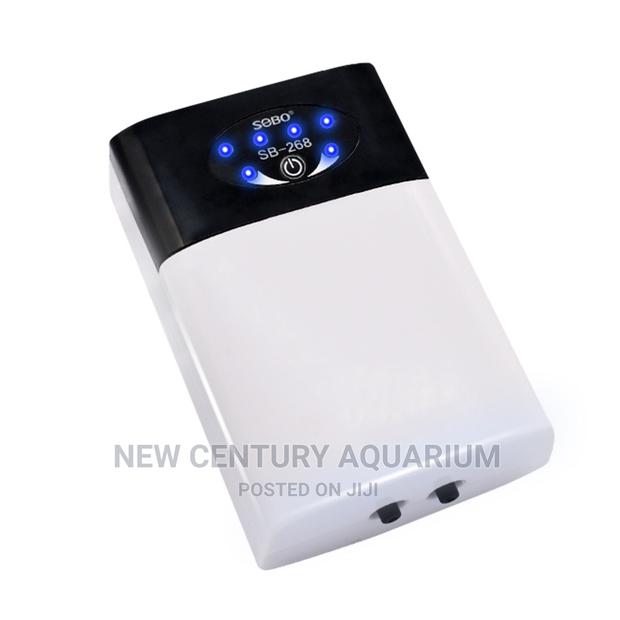 Sobo Mini Ac/Dc Air Pump/ Double Outlet