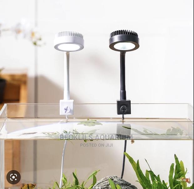 Aquarium Light and More · Photo 4