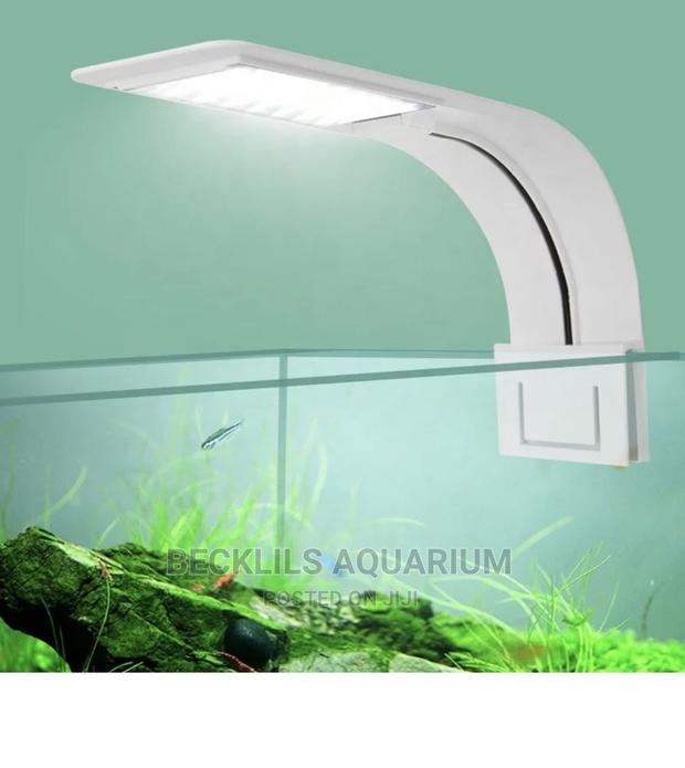Aquarium Light and More · Photo 3