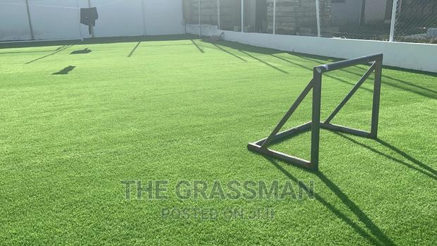 Green Grass For Modern Garden For Homes, Hotels photo 3