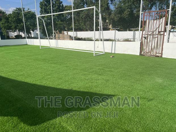 Green Grass For Modern Garden For Homes, Hotels photo 4