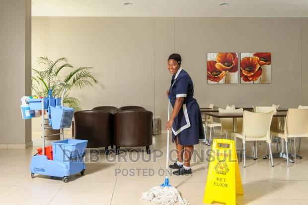 Professional Cleaners 2go · Photo 4