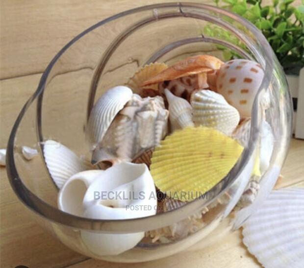 Aquarium Shells Decor · Photo 4